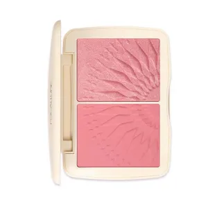 Monochromatic Duo Blush