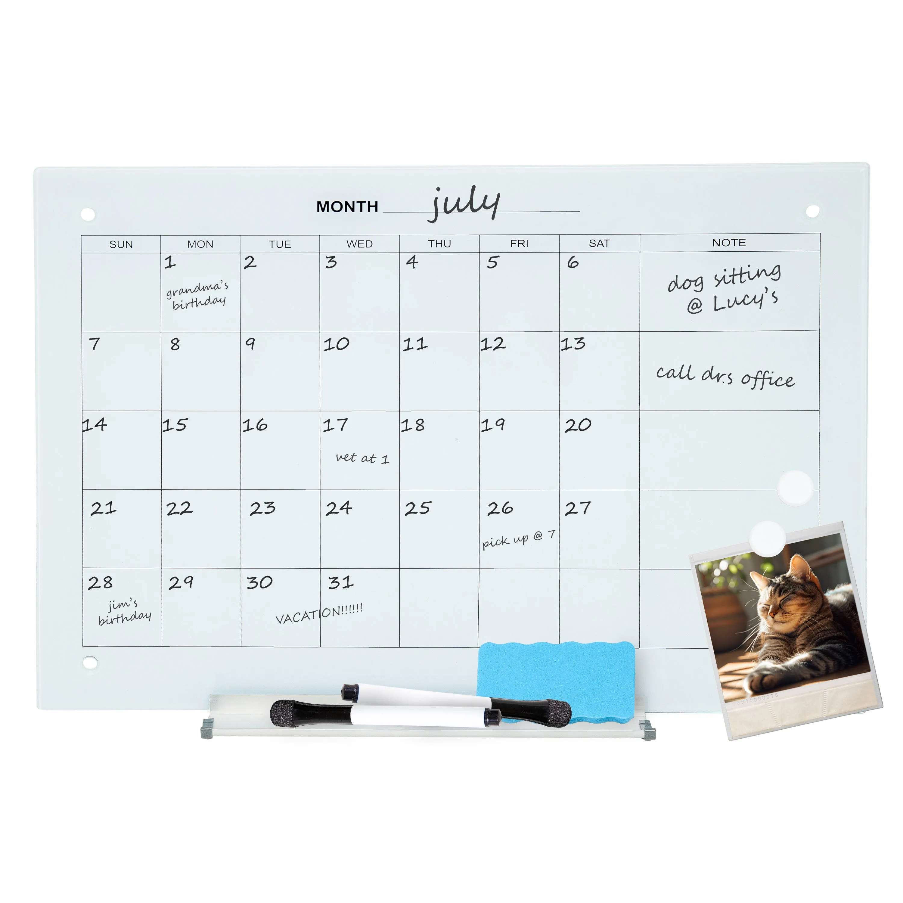 Sunnydaze Glass Whiteboard Calendar for Wall with Markers