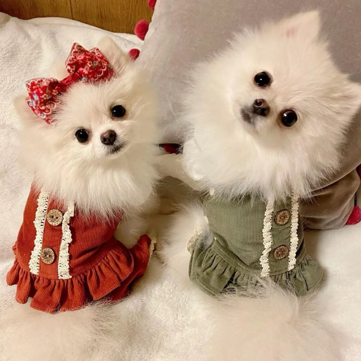 TaniWina Pet Clothes Jumpsuit Corduroy Vest Pants Valentine's Edition