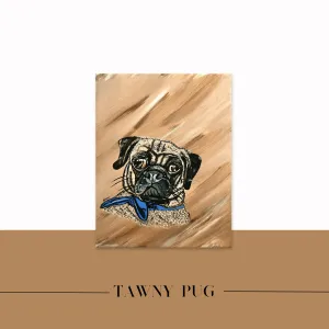 Tawny Pug, 2023